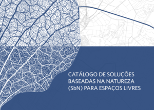 Screen Shot 2025-09-02 at 10.51.58