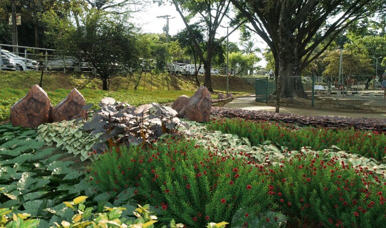 Projeto_Lagoa_do_Nado_BH_Guajava 3
