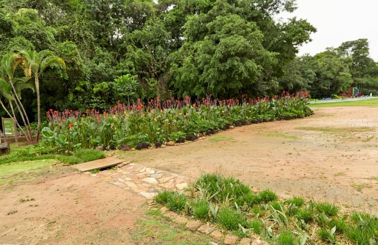 Jardim de Chuva em Parque Lagoa do Nado. Foto: Meridiano Filmes
