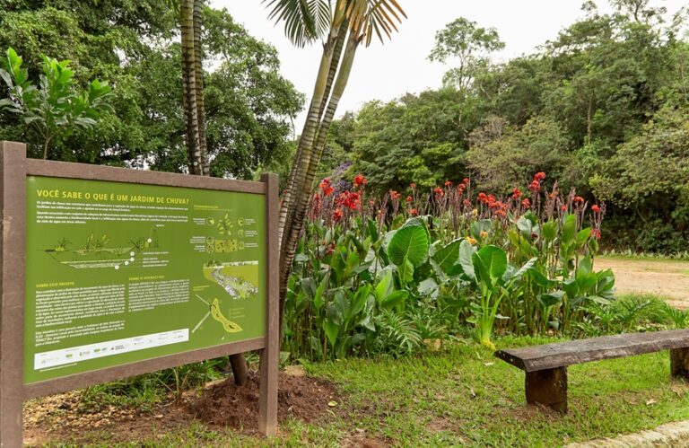 Jardim de Chuva em Parque Lagoa do Nado. Foto: Meridiano Filmes