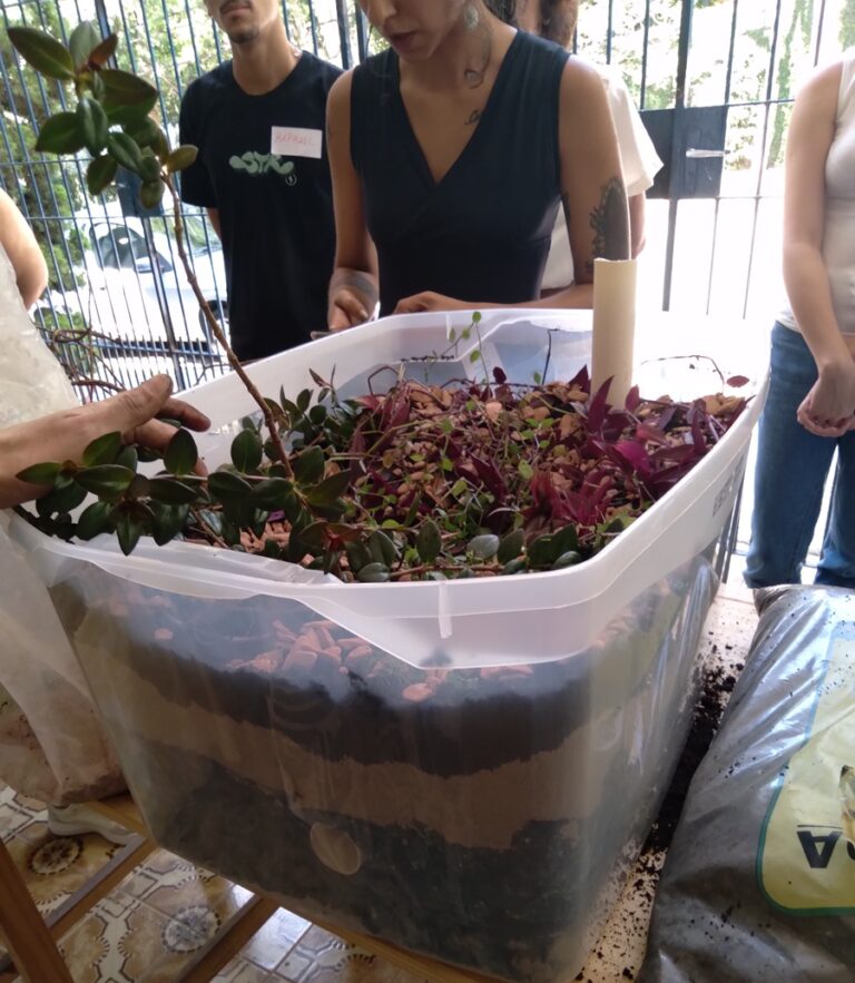 01_workshop_guajava_sbn_pratica_foto_dulcemoraes