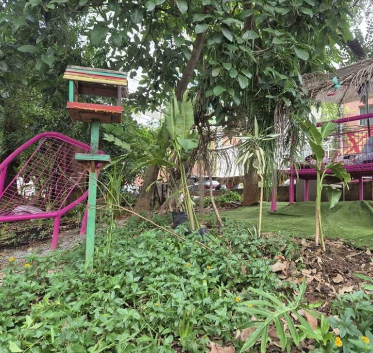 terraco-chuva-guajava-vila-madalena4