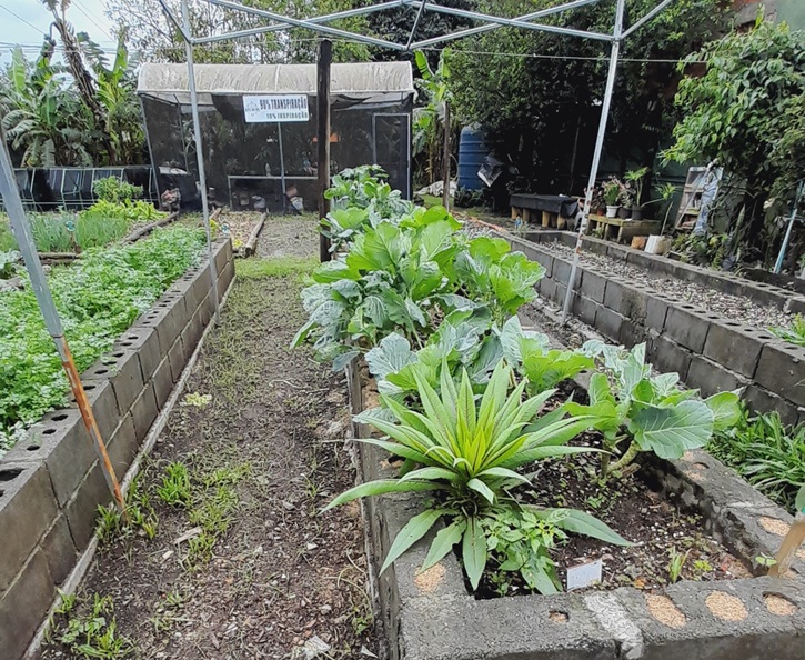 horta1